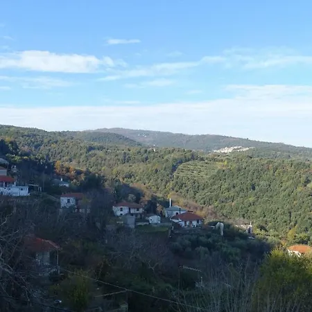 Veneto No 6